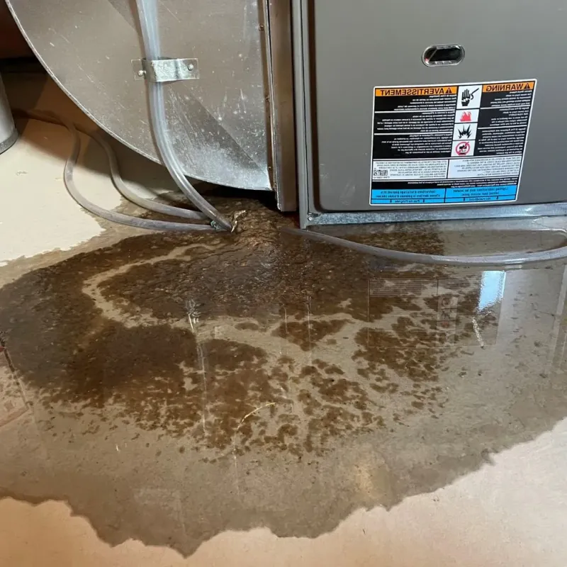 Pipe Burst and Leak Restoration in New Holland, PA
